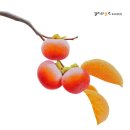 비움은 채움의 시작 展 이미지