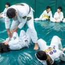 그레이시주짓수 네이버블로그