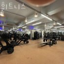 휘트니스 킹콩 이미지