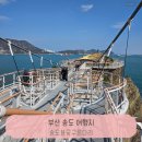 용궁 | 부산 송도용궁구름다리 후기｜지금 날씨에 딱! 바다 위를 걷는 짜릿한 뷰 명소 추천