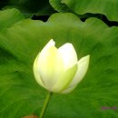 장평농장 이미지