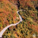 “가을빛으로 물든 강원 화천 해산령, 단풍 드라이브의 진수” 이미지