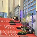 드라마틱 클래식 | 발렌타인 콘서트 부천 필하모닉 오케스트라 첼리스트 임희영 슈만 첼로 협주곡 클래식 공연