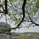 힐링요양병원 이미지