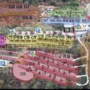 강촌캠핑장 이미지