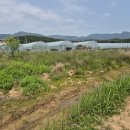 김창희공인중개사사무소 이미지