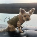 한양한방동물병원 이미지