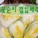 강원 평창고냉지 꽃순이절임배추 (10kg:23,000원 / 20kg : 39,000원) 주문받아요 이미지