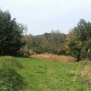 오거리통신 이미지