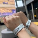 NR-3[남상주로]-상-10 | 암스테르담 레이오버 11시간 :: 반 고흐 미술관 : 하이네켄 박물관 : 마네킨피스 감자튀김