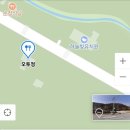 오투정 이미지