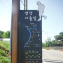 중면사무소 티스토리