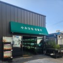 우리수족관 | 대구 수족관 추천 물생활의 성지 수초닷컴 수족관 후기!!