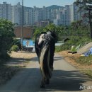 만인승마체험장 이미지