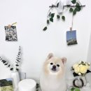 더빛나개 - 유성구 노은서로112번길 100 | 더빛나개