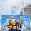 축제_L | 보령머드축제 주말 일반존 오후 입장 후기 l 주차, 준비물, 옷, 놀거리, 셔틀 총정리