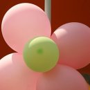 백일야영장 이미지