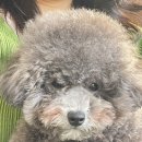 오미네커피 이미지