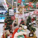 연세맘스키즈치과의원 이미지