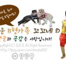 홈스토리판
