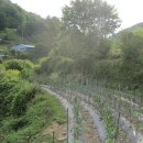 남해-182 이미지