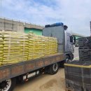 소나무농장 이미지