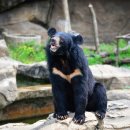 (주)야생 이미지