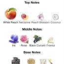 바람결-시간의 흐름 | 킬리안 플라워 오브 이모탈리티 향수 시향 후기, 에스파 윈터 향수