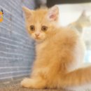 헤어굿초이스 이미지