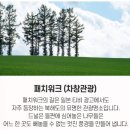 플라워로드 티스토리