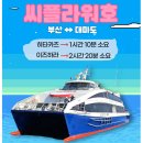 대마도 배편 가격 예약 당일치기 일본 여행 : 7월 출국세 인상