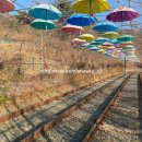 대구근교 청도레일바이크 🚂 싱그러운 바람 따라 떠나는 힐링 여행