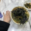 가이오