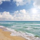 서강정형외과의원 이미지