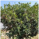 임실농산 이미지