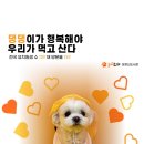 놀러오개 애견유치원 애견호텔 운정신도시점 이미지