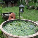 새재골가든 이미지