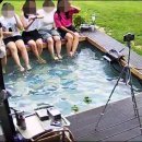 반디불이 민박 이미지