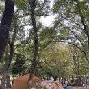충남 캠핑장 추천 / 성주산자연휴양림 A-7 백패킹 후기