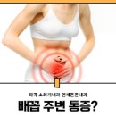 배꼽주변 통증 (왼쪽, 오른쪽, 위, 아래) 이미지