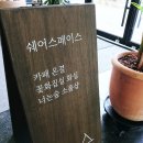 너는숲