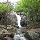 제343회 정기산행 경북 칠곡 금오산(977m) 금오동천 산행(2019. 8. 10) 이미지