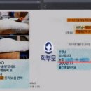 호원초 이미지
