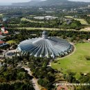 제주 천제연 난대림 이미지