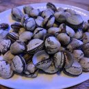 고추시장(우) 이미지