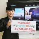 스카이라이프 이미지