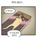 첫 헬스 후기 이미지