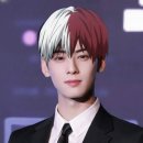 정이생(하) | 찐따의역습만화 나의 히어로 아카데미아, 히로아카 후기