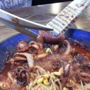 용두동 쭈꾸미 이미지