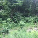 고송보건진료소 이미지